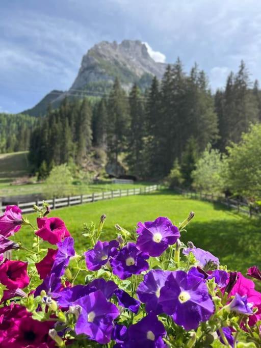 Apartamento Sellaronda - Ciampac Experience Alba di Canazei Exterior foto