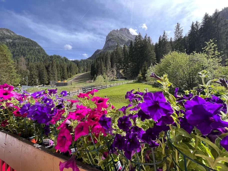 Apartamento Sellaronda - Ciampac Experience Alba di Canazei Exterior foto